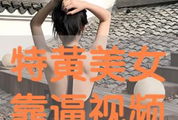 美女逼视频,揭秘网络视频背后的真相