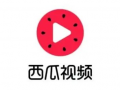 西瓜 视频 下载,轻松获取心仪视频内容