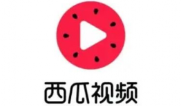 西瓜 视频 下载,轻松获取心仪视频内容