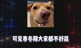娱乐八卦爆料吃瓜最新,最新吃瓜爆料，明星隐私大曝光！