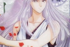 银狐动漫图片,探寻神秘银狐的奇幻冒险之旅